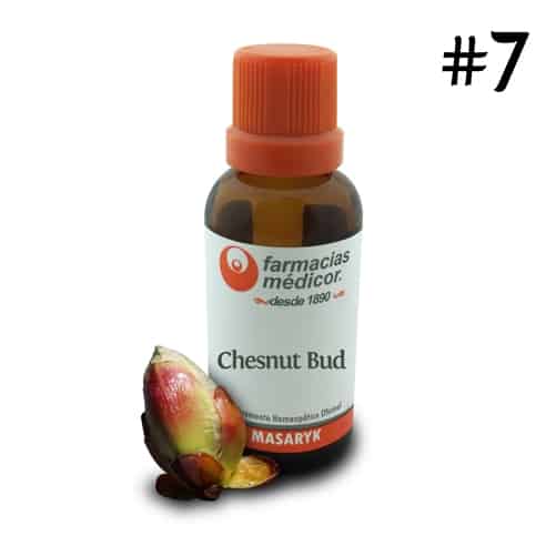 Chestnut Bud — Sal de Schüssler