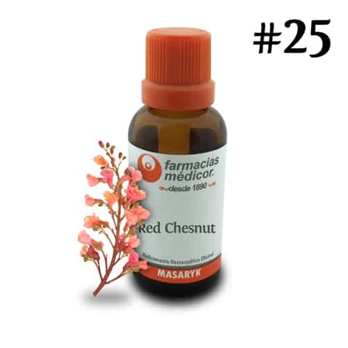 Red Chestnut