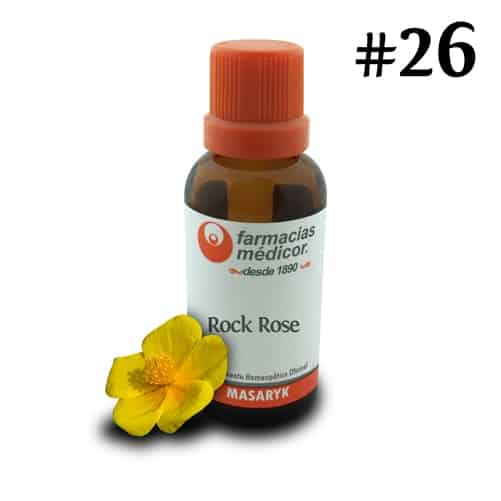 Rock Rose