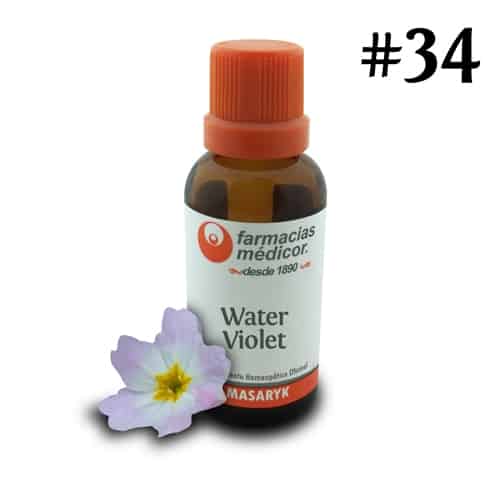 Water Violet