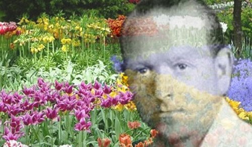 Libérate a ti mismo
