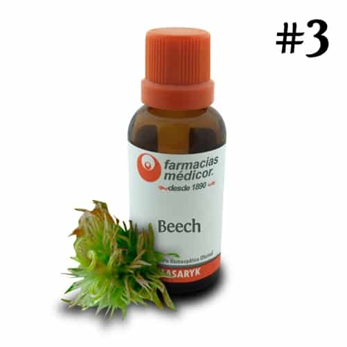 Beech — Sal de Schüssler