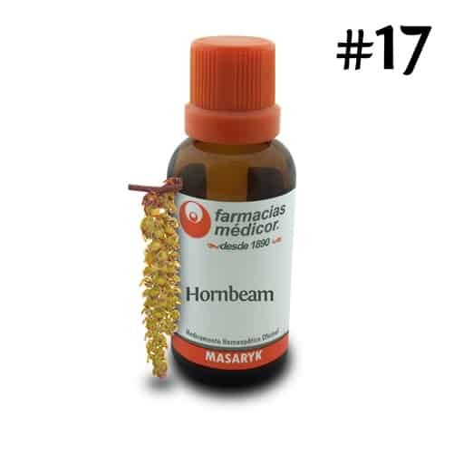 Hornbeam