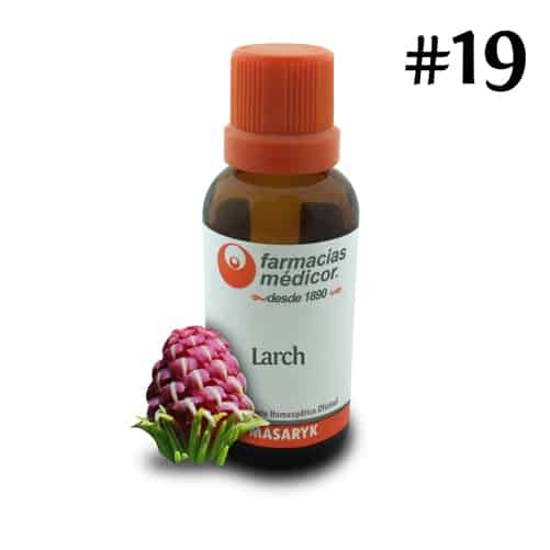 Larch