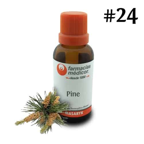 Pine