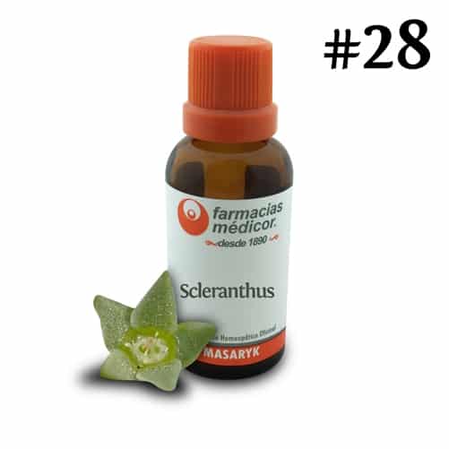 Scleranthus