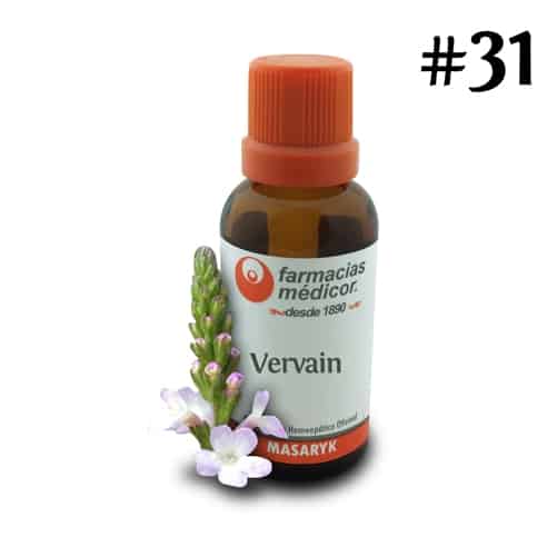 Vervain