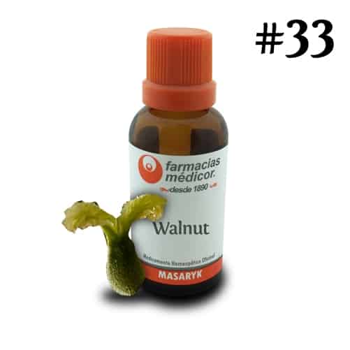 Walnut