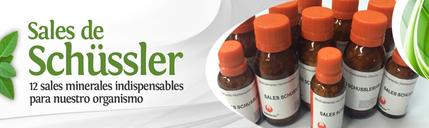 Sales de Schüssler