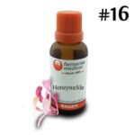 Honeysuckle